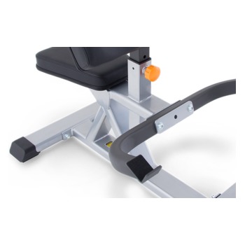 BANCO BICEPS MOVEMENT 2