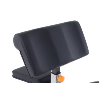 BANCO BICEPS MOVEMENT 4